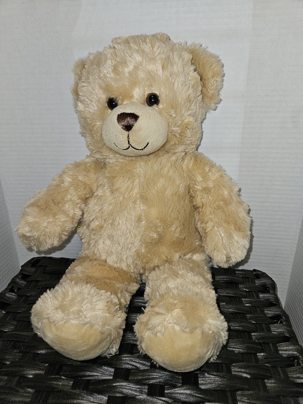 Build-A-Bear Cream/Beige Plush Teddy Bear - Soft Cuddly Stuffed Animal